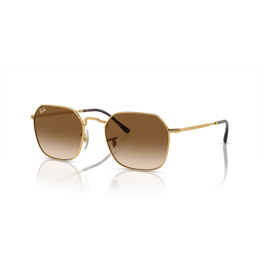 Ray-Ban 3448 kahve- 50 ekartman