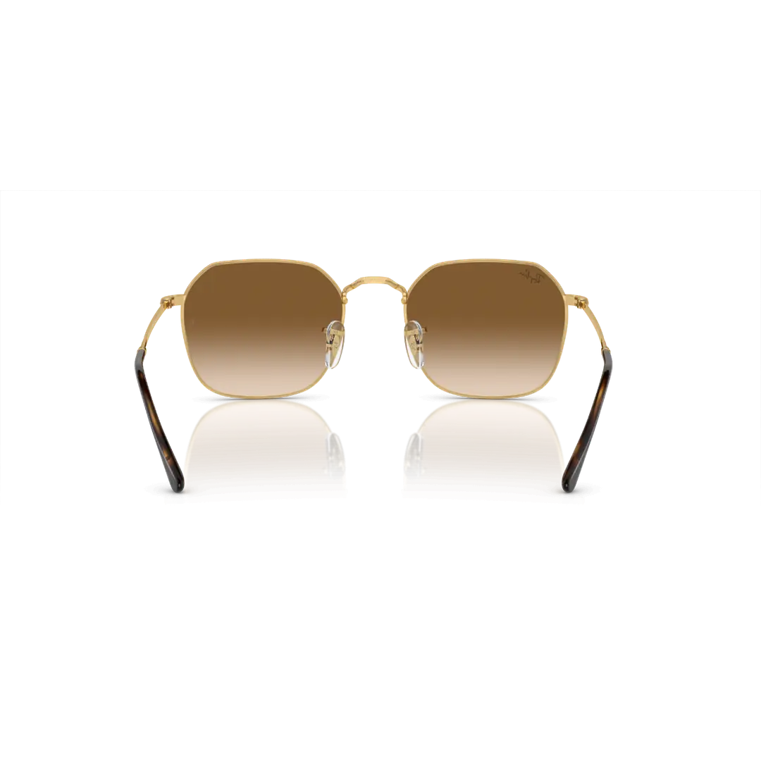 Ray-Ban 3448 kahve- 50 ekartman