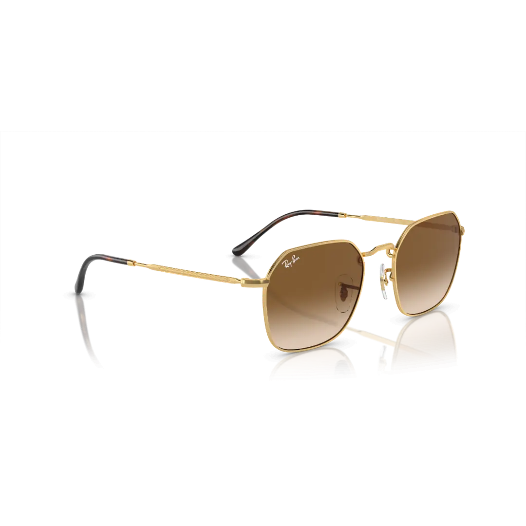 Ray-Ban 3448 kahve- 50 ekartman